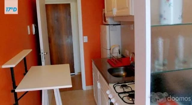 Alquiler Departamento Amoblado o sin Amoblar. — foto 5