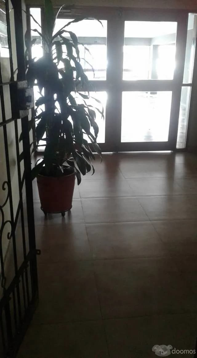 VENDO DPTO CALLE LARCO HERRERA PRIMER PISO - MAGDALENA DEL MAR — foto 2