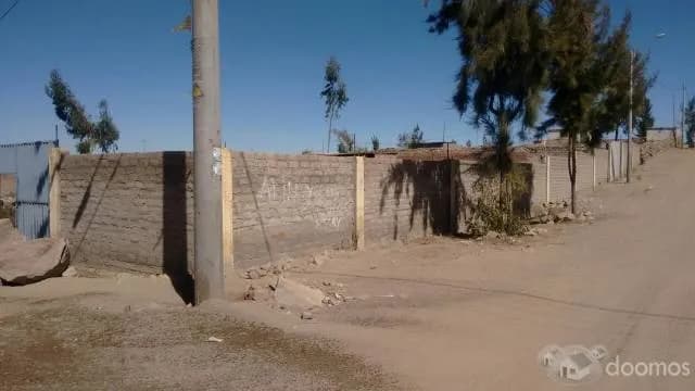 TRASPASO TERRENO 1000 M2 ASOC. SAN FRANCISCO MARIANO MELGAR — foto 2