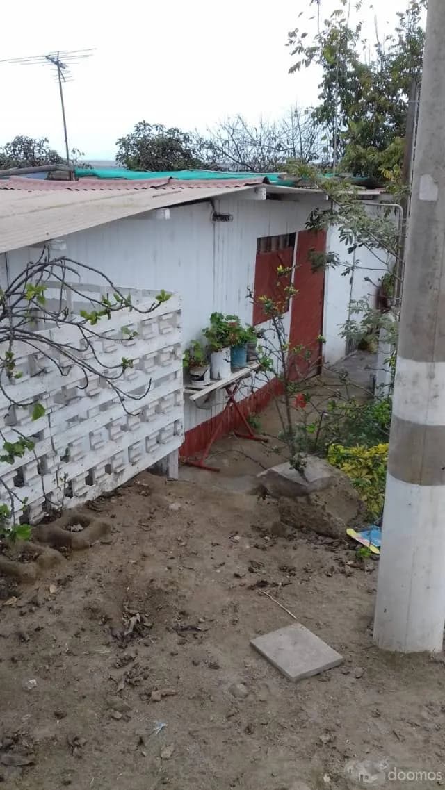 OCASIÓN - Vendo Casita Huerta de 360 M2 en Pachacutec VENTANILLA — foto 5