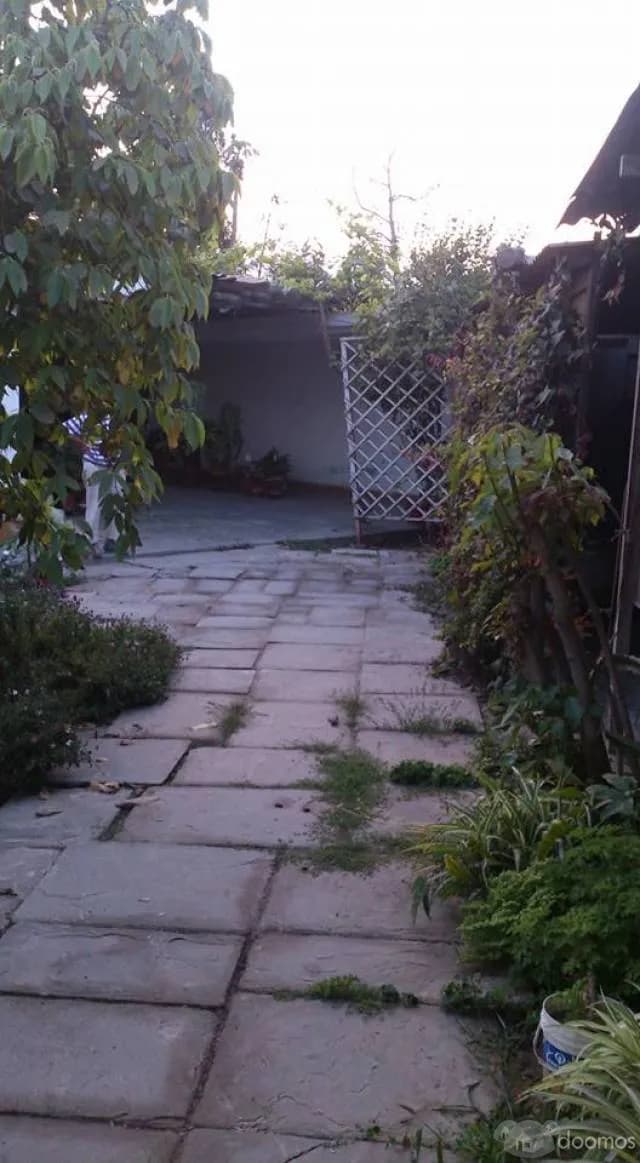 ZONA RESIDENCIAL CASA HUERTO HUACHIPA NORTE — foto 9