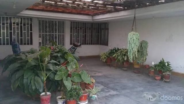 ZONA RESIDENCIAL CASA HUERTO HUACHIPA NORTE — foto 11