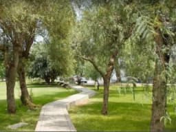 Venta departamento en San Borja Av.Boulevard frente a parque