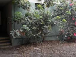 A - VENDO TERRENO IDEAL PARA CONSTRUCCION -  SURCO