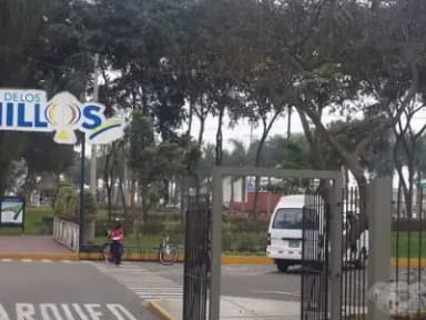 Miniatura 7