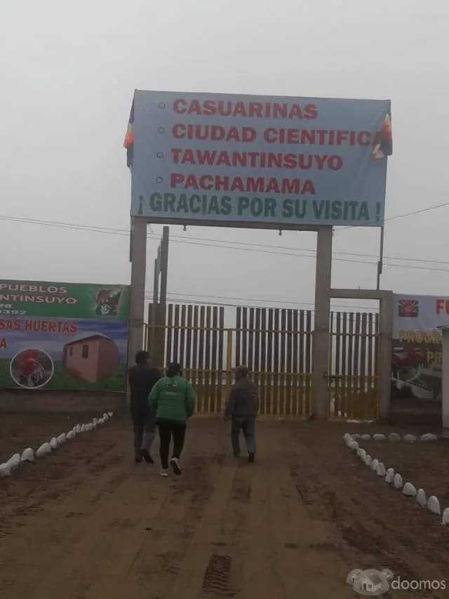 TERRENOS EN SAN VICENTE DE CAÑETE — foto 1