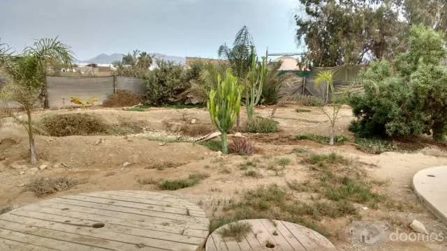 Vendo terreno en chilca -2000mt2 — foto 3
