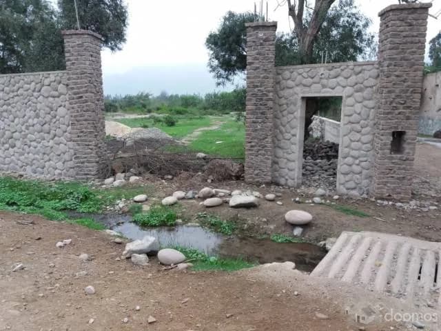 Venta de Terreno Agrícola - PACHACAMAC — foto 1