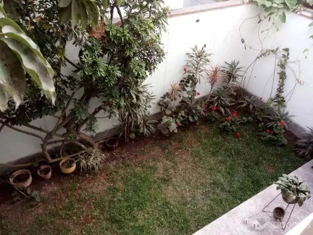 Venta Casa frente a Parque - Surco — foto 6