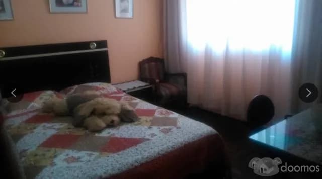 ALQUILO HABITACIÓN AMOBLADA CON BAÑO PROPIO EN LA MOLINA — foto 1