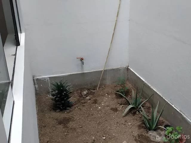 Vendo Dpto. 120 m2. 1er. Piso – Urb. Sto. Domingo - Carabayllo — foto 5
