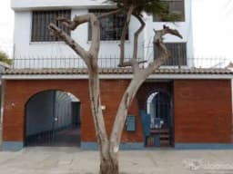 Alquilo departamento/casa en Chorrillos