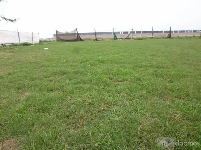 VENTA TERRENOS EN LURIN - OCASION — foto 5