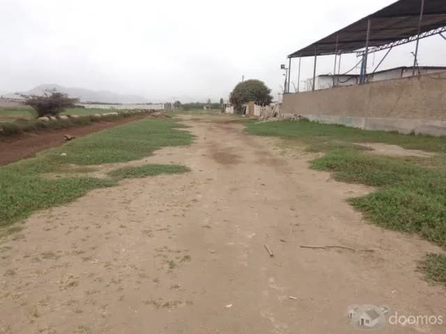 SE VENDE TERRENO EN LURIN 6000 m2 — foto 1