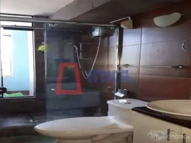 Miniatura 9