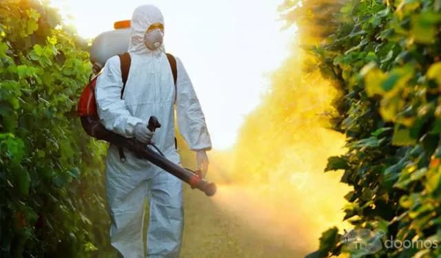 Fumigación y control de Plagas — foto 4