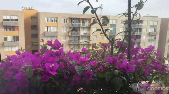 LINDO DEPARTAMENTO FRENTE A PARQUE — foto 1