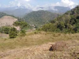 TERRENO PLANO-SEMIPLANO 40 000 METROS MUY CERCA A LA PISTA EN SAN LUIS DE SHUARO