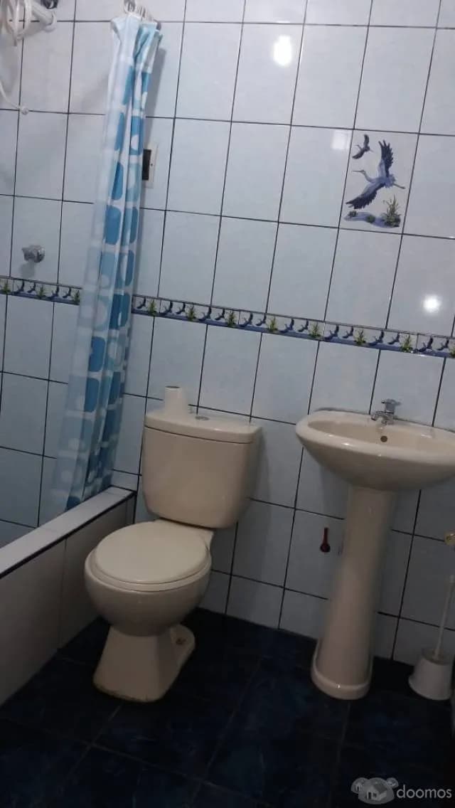 ALQUILO LOCAL COMERCIAL EN  AV.HABICH — foto 4