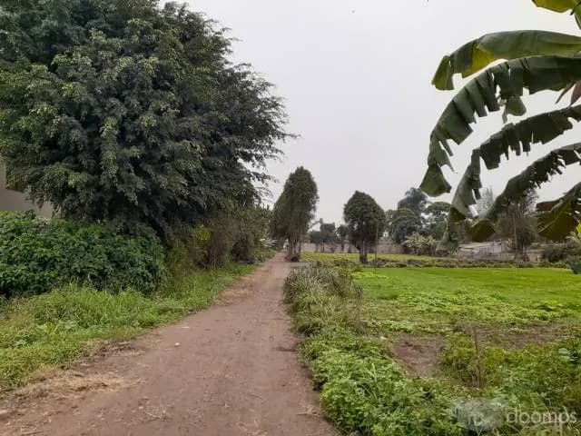 Venta de terreno en Pachacamac — foto 1