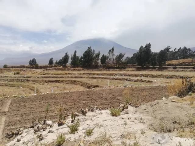 TERRENO PARA CASA DE CAMPO CHIGUATA — foto 1