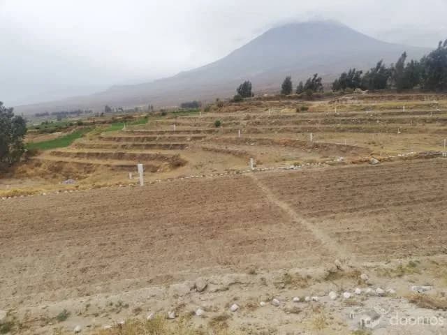 TERRENO PARA CASA DE CAMPO CHIGUATA — foto 3