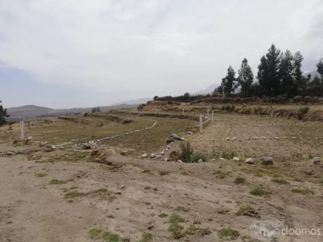 TERRENO PARA CASA DE CAMPO CHIGUATA — foto 5
