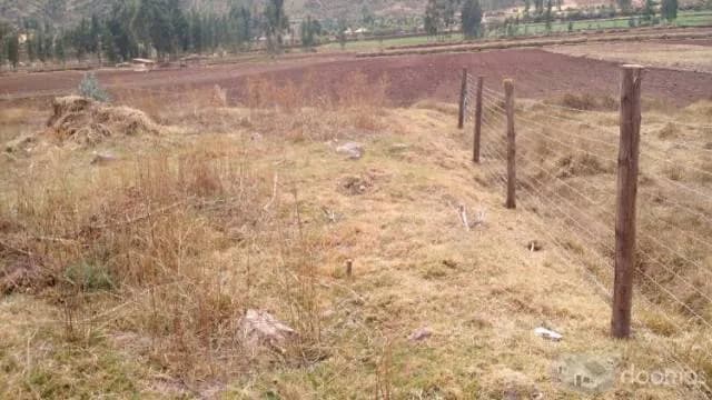 VENDO TERRENO EN HUASAO DE 9,800M2 — foto 4