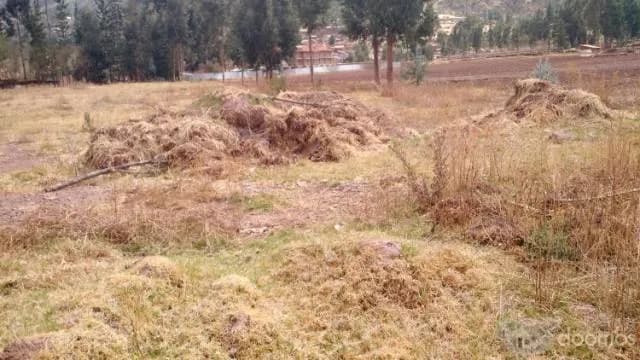 VENDO TERRENO EN HUASAO DE 9,800M2 — foto 5