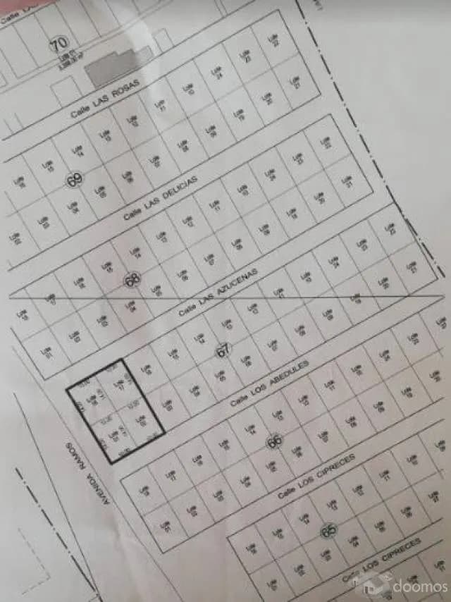 VENTA TERRENO EN PLAYA LOS LOBOS — foto 2