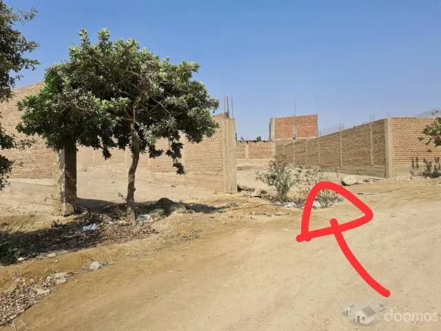 TERRENO 500M2 HUERTOS DE CIENEGUILLA — foto 2