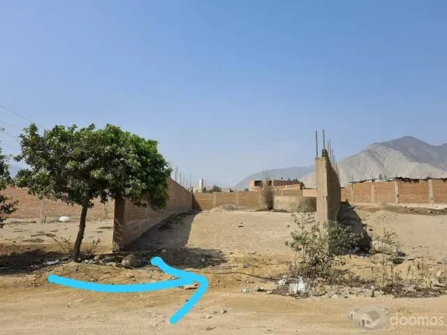 TERRENO 500M2 HUERTOS DE CIENEGUILLA — foto 3