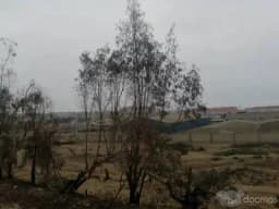 16500 m² – Villa Salvador vendemos 14,500 m2 – 16,500 m2 ideal almacenes