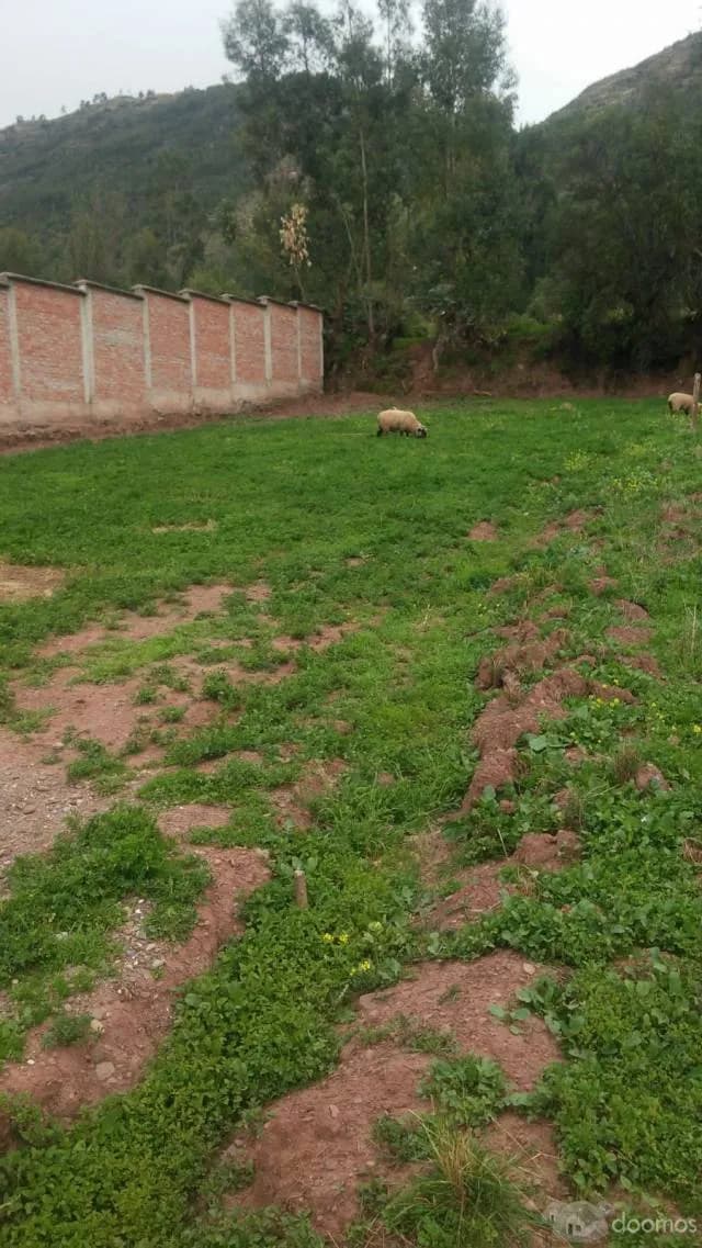 Vendo hermosos lotes de terreno desde 120 m2 — foto 3