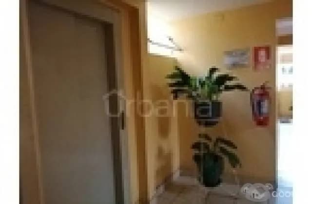 DEPARTAMENTO EN SEGUNDO PISO CON ASCENSOR LIBRE DE RUIDOS — foto 4