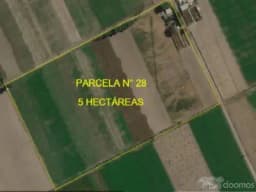 ¡ LA OPORTUNIDAD DE TU VIDA ¡ COMPRA UNA PARCELA DE 5 HECTÁREAS