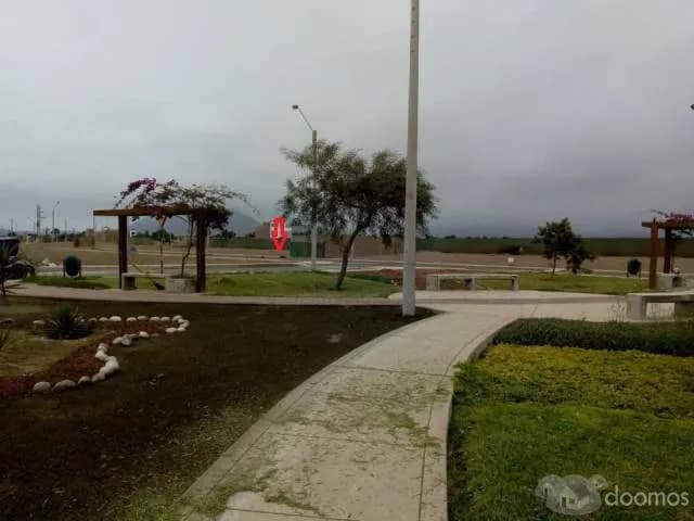 VENTA DE TERRENO ALAMEDA LIMA SUR IV ETAPA — foto 7