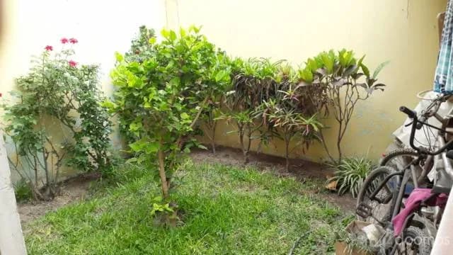 VENDO CASA 165 M2 URBANIZACIÓN EL RETABLO COMAS — foto 6