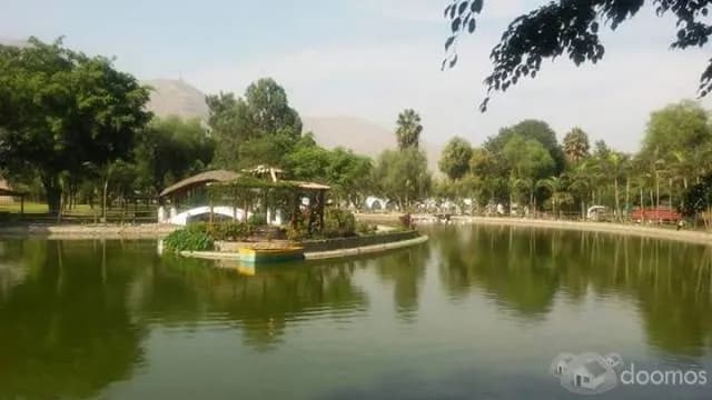 CLUB RESIDENCIAL LOS GIRASOLES DE HUAMPANI — foto 8