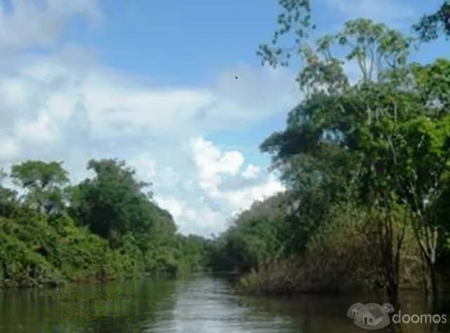 Reserva privada en la selva peruana — foto 2