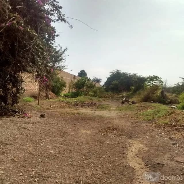 Terreno en Trujillo — foto 1