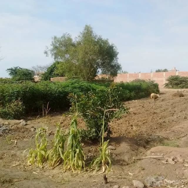 Terreno en Trujillo — foto 2