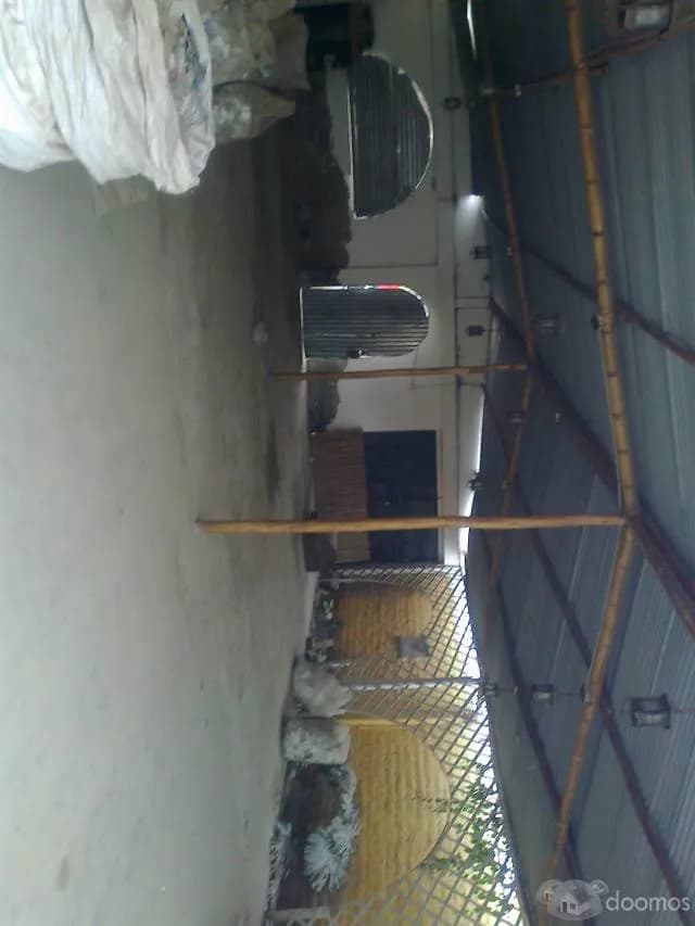 VENDO TERRENO 300 M2. — foto 1