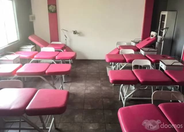 EXCELENTE LOCAL COMERCIAL 300 MTS  SURCO — foto 4