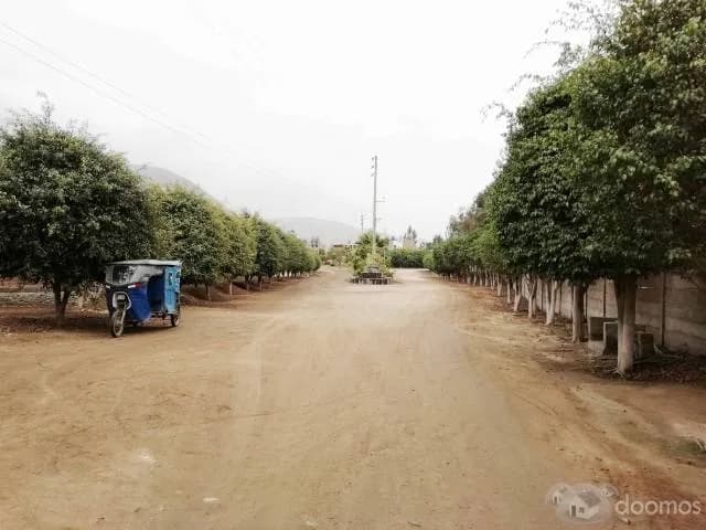TERRENO EN VENTA EN CIENEGUILLA — foto 6