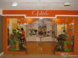Alquilo Tienda en Centro Comercial Caminos del Inca