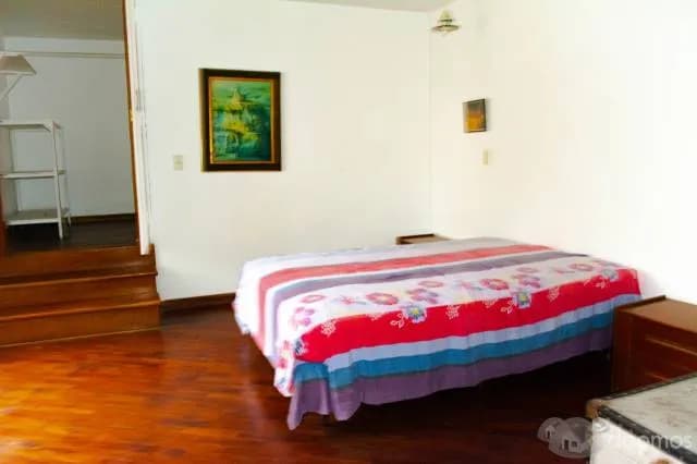 ALQUILO DEPARTAMENTO EN SURCO — foto 4