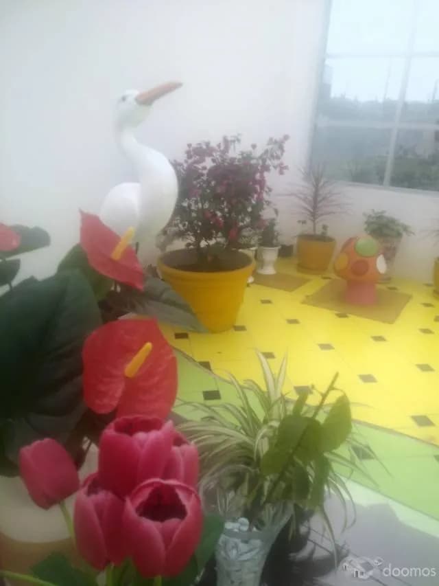 SE REMATA CASA BONITA — foto 5