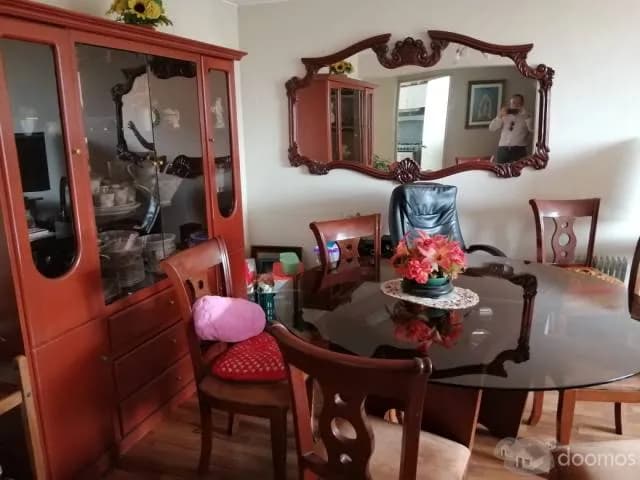 HERMOSO DEPARTAMENTO EN SURQUILLO CON VISTA A PARQUE — foto 7