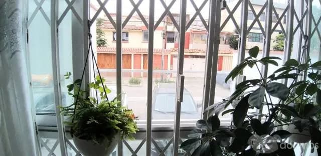 MINI-DEPARTAMENTO EN VENTA MAGDALENA DEL MAR — foto 11